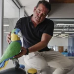 El loro que vela por tus mayores: Onorato IA redefine el cuidado en el hogar