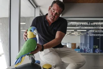 El loro que vela por tus mayores: Onorato IA redefine el cuidado en el hogar