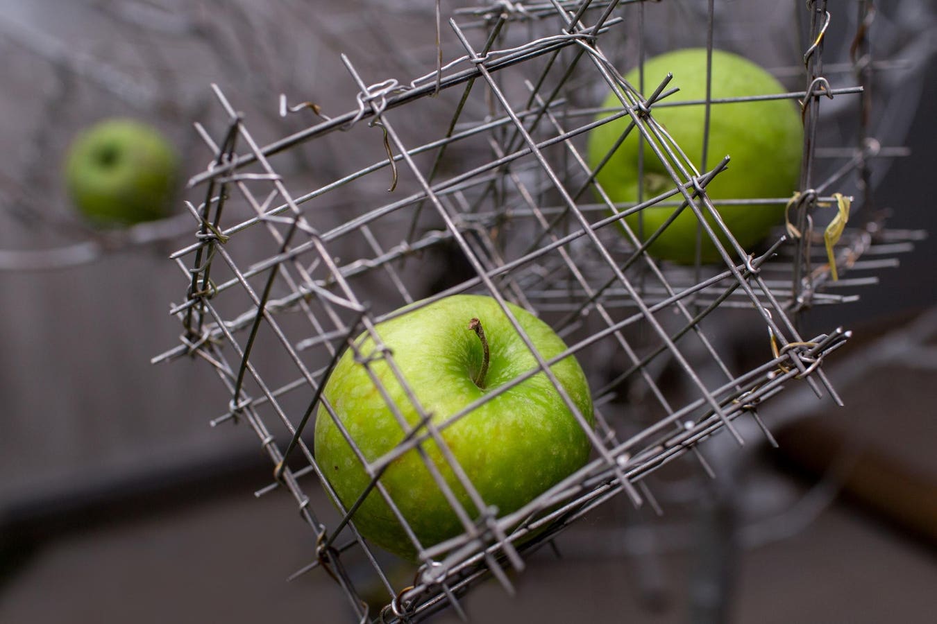 Apple vs. Epic: La batalla por el App Store recrudece y podría ser criminal.
Google en la mira: ¿El juicio antimonopolio definirá el futuro de la IA?
xAI de Musk busca financiación récord: ¿Un nuevo gigante en la IA?
OpenAI recula: ¿GPT-4o era dema