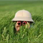 ¿Adiós SEO? La IA Redefine Cómo Encontrar Clientes (y Cómo Te Encuentran a Ti)