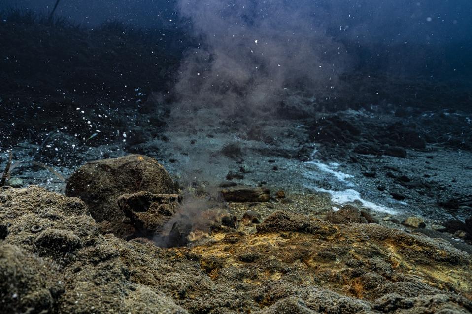 A deep sea vent
