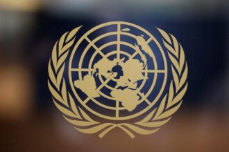 La ONU y la IA: Quién gana, quién pierde y las oportunidades en el nuevo escenario mundial