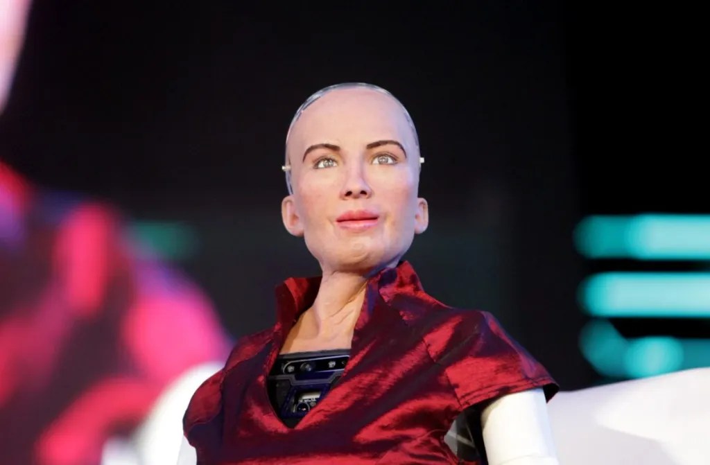 Estupidez Artificial: El fallo inesperado de la Inteligencia Artificial 34 Estupidez Artificial: El fallo inesperado de la Inteligencia Artificial