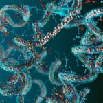 Boltz-2: el modelo de IA que está revolucionando el descubrimiento de medicinas.